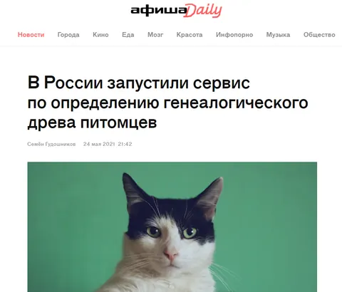 Afisha Daily о проекте CRAVE