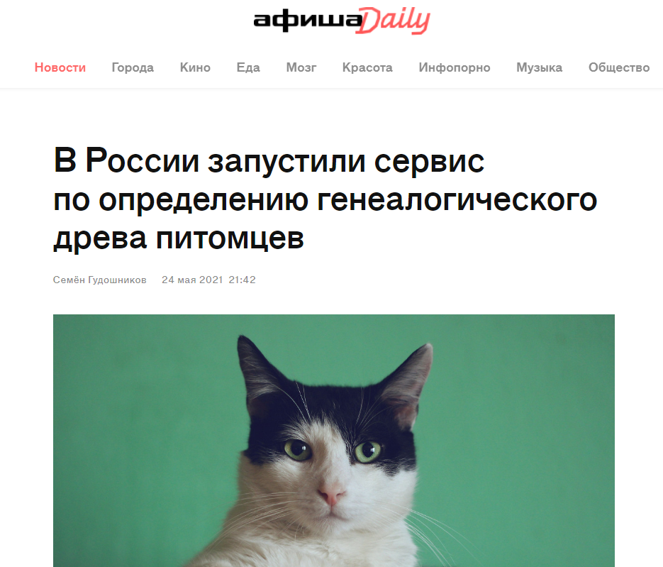 Afisha Daily о проекте CRAVE