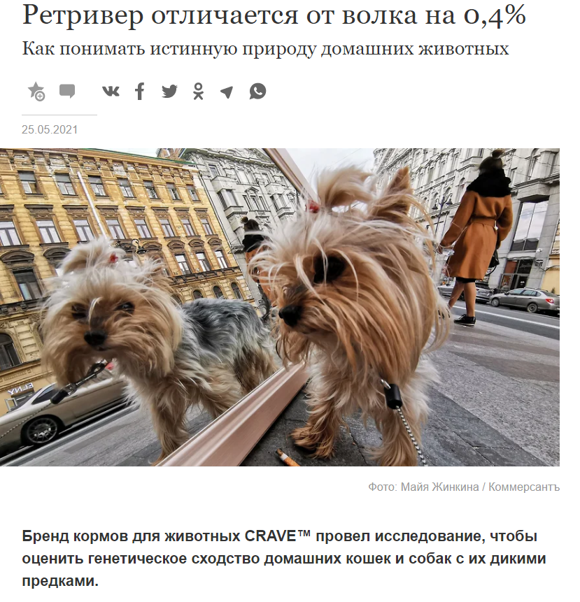 «Коммерсантъ» о проекте CRAVE