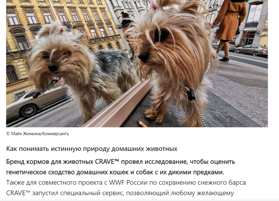 MSN о проекте CRAVE