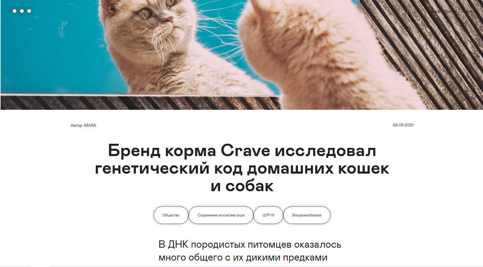 Plus One о проекте CRAVE