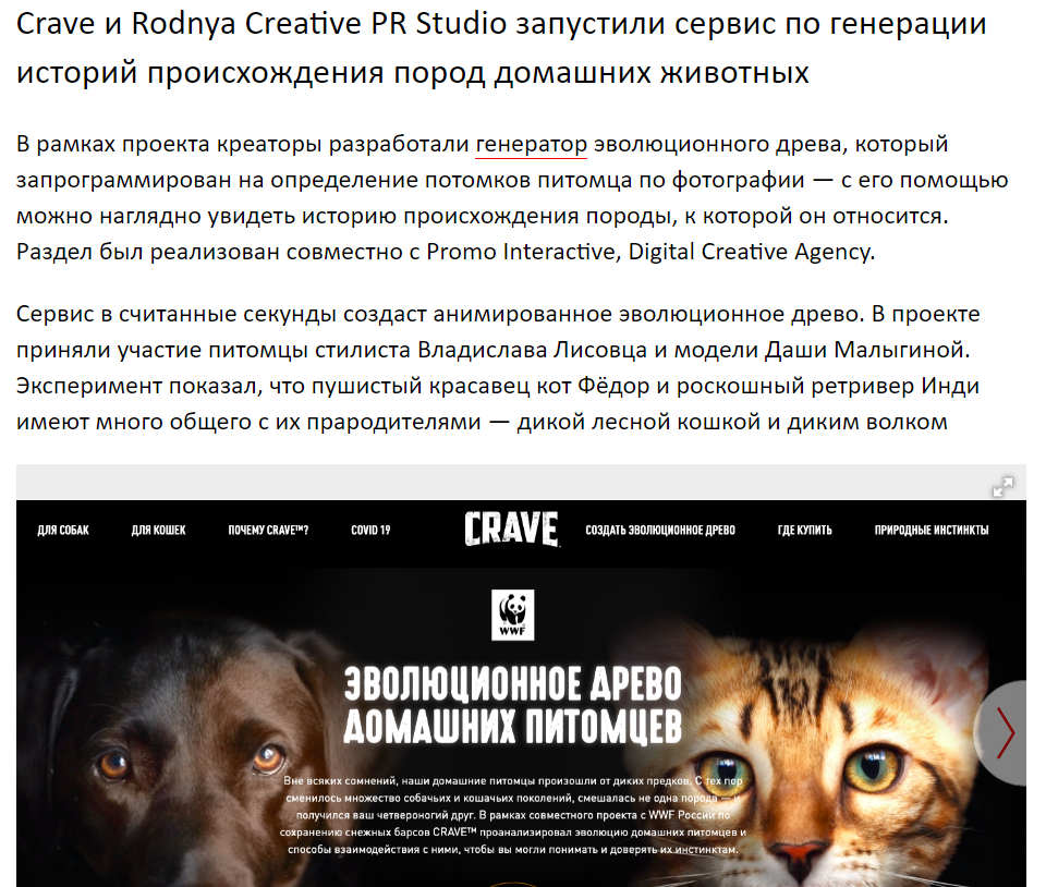 Sostav о проекте CRAVE