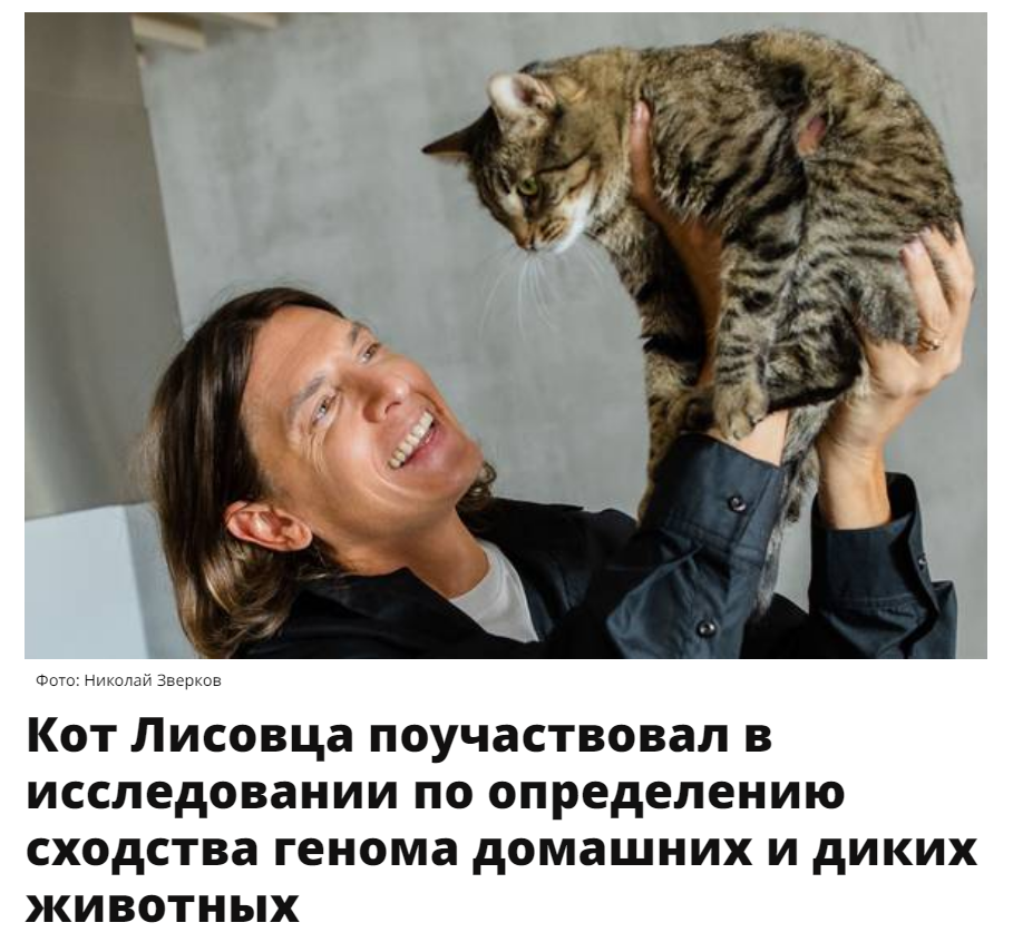 «Вечерняя Москва» о проекте CRAVE